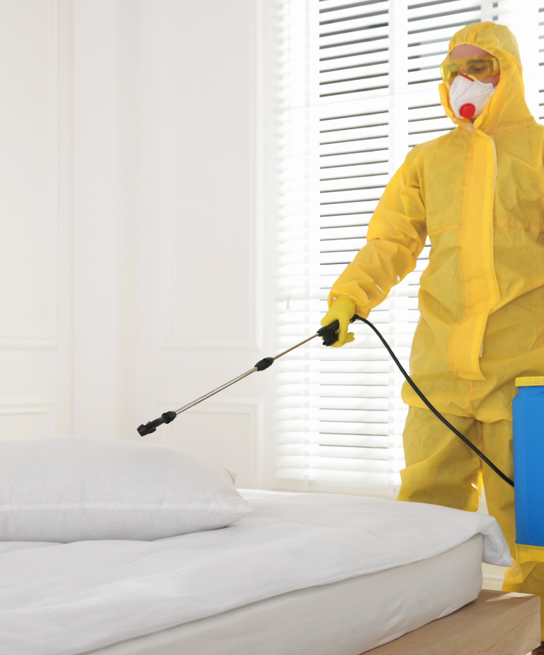 Professional Pest Control Team in Elizabeth Grove
